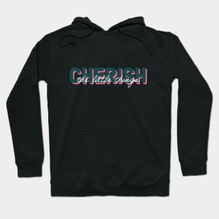 Cherish the little things Hoodie